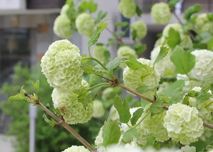 The Chill House In Sunny Apartamento *